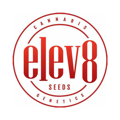 ELEV8