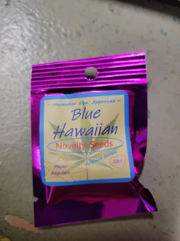 Blue Hawaiian Regular Seeds