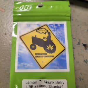 Lemon Skunk Berry Haymakerdan Genetics