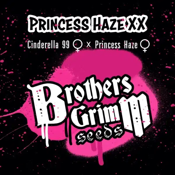 Princess Haze XX Brothers Grimm Seeds