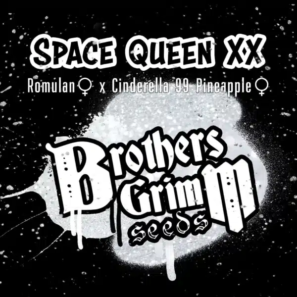 Space Queen XX Brothers Grimm Seeds