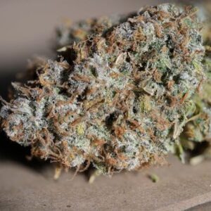 Jealousy Twisted Autoflower