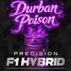 DURBAN POISON Barney's Farm