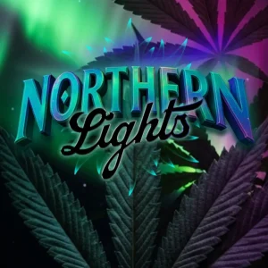NORTHERN LIGHTS Barney's Farm