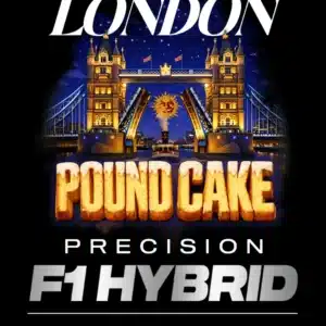 LONDON POUND CAKE AUTOFLOWER Barney's Farm