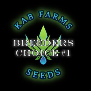 BREEDERS CHOICE #1 KAB Farms
