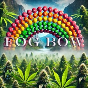 FOG BOW KAB Farms