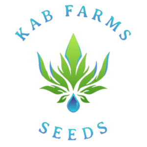 Dunkerz KAB Farms