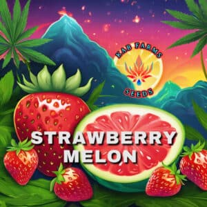STRAWBERRY MELON KAB Farms